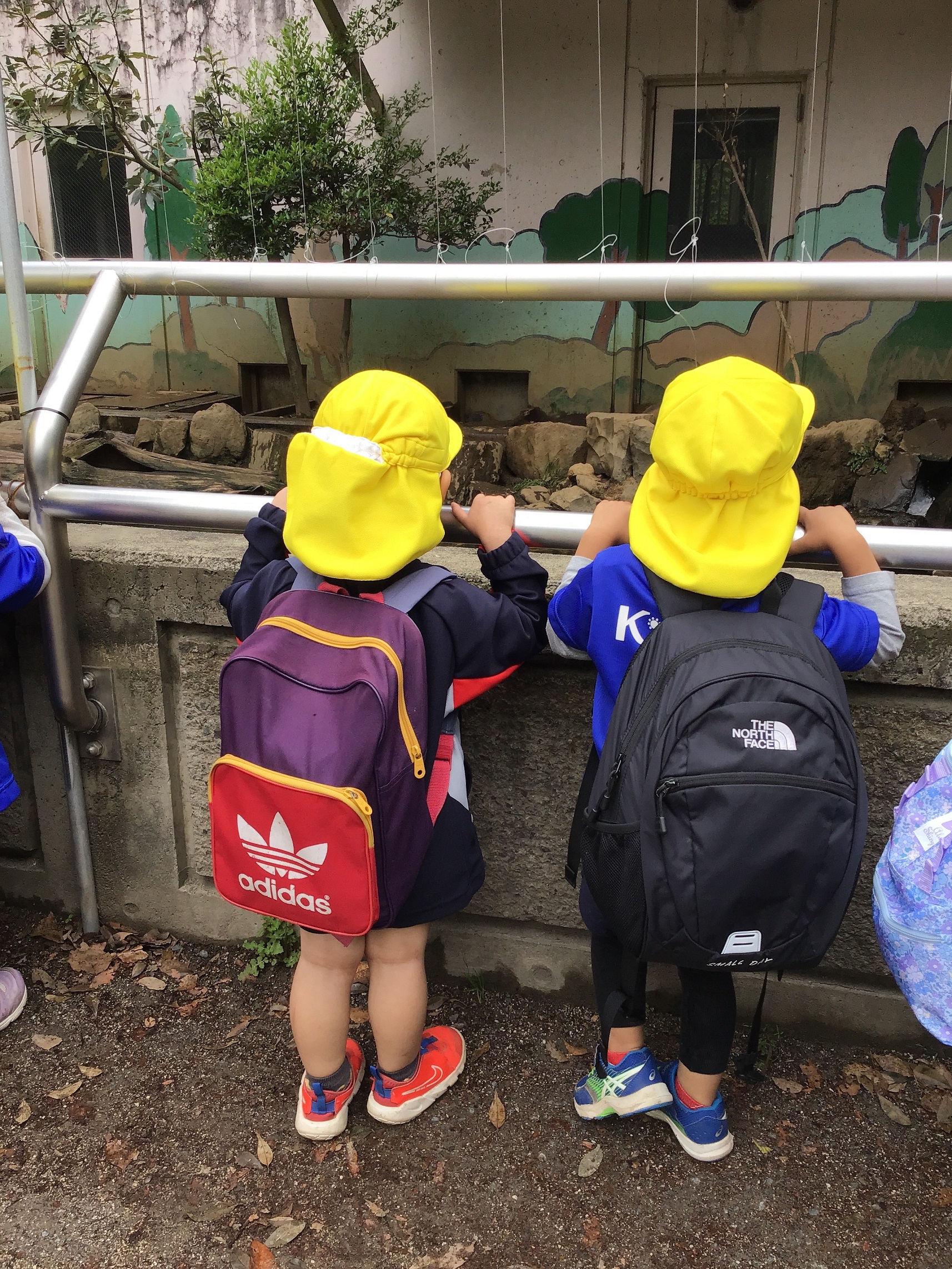 大泉学園 4月の園外保育＜智光山公園 こども動物園🐧＞ 保育園「キッズナーサリー」